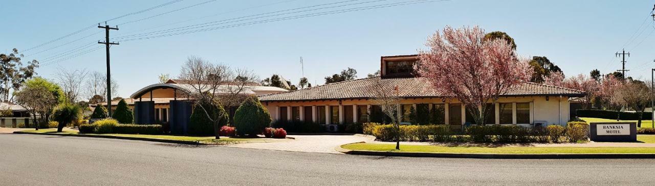 Banksia Motel Collie Eksteriør bilde